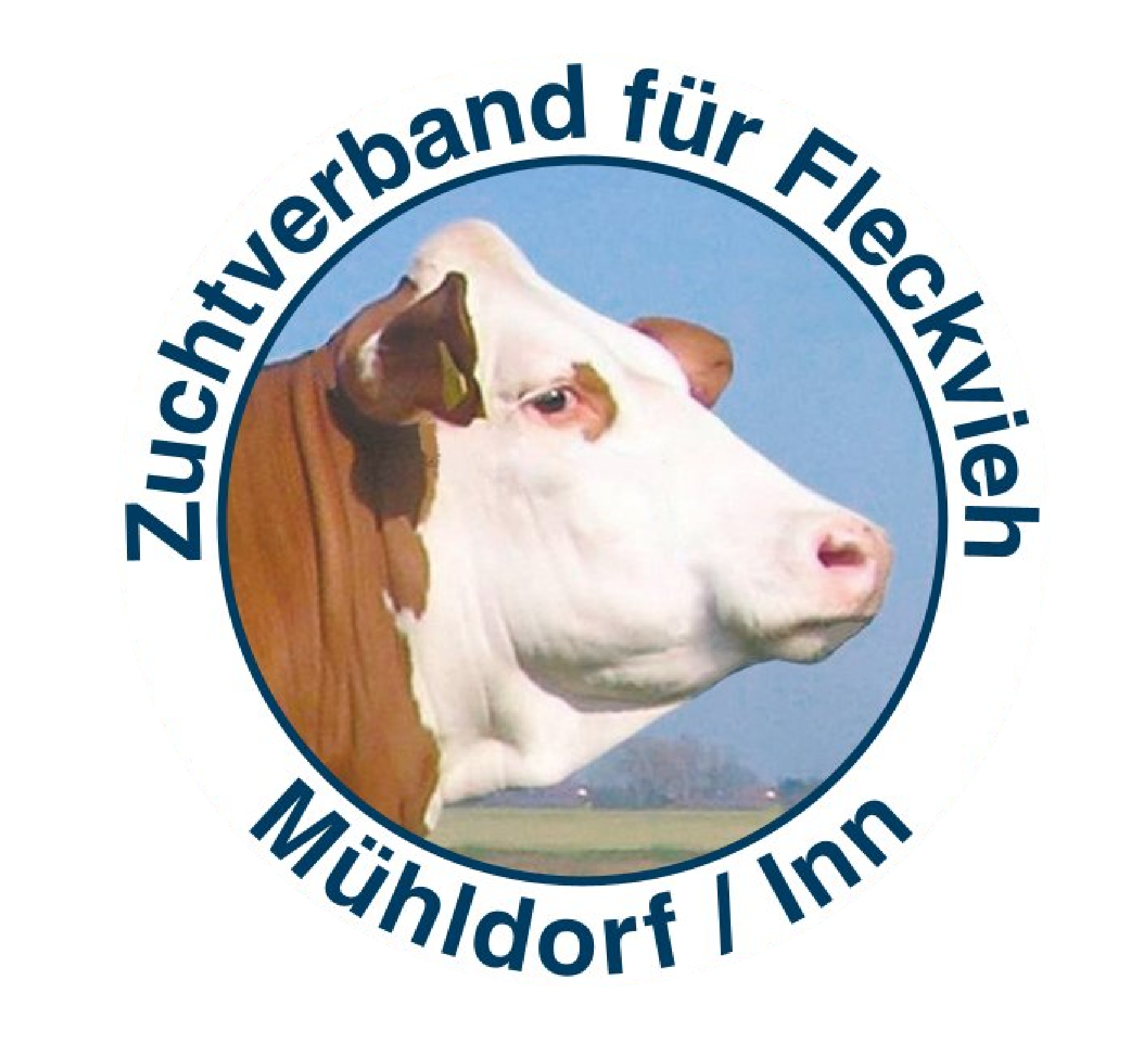 Zurück zur Startseite